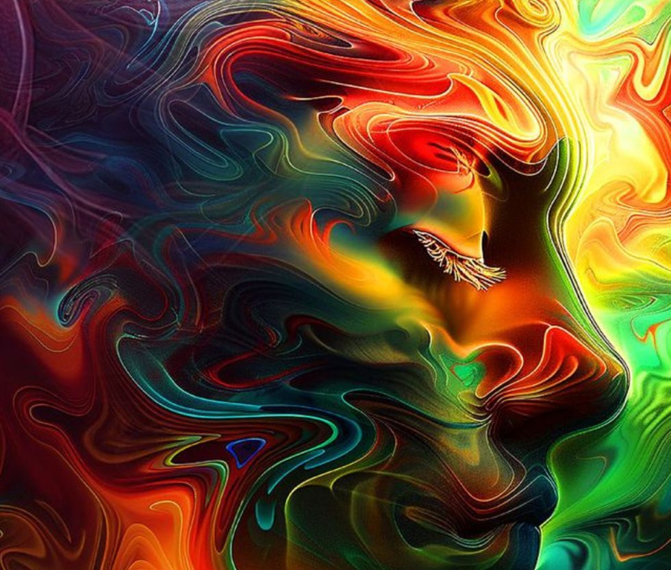 Light MY Fire 2026