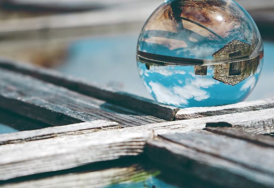 Reflections in nature