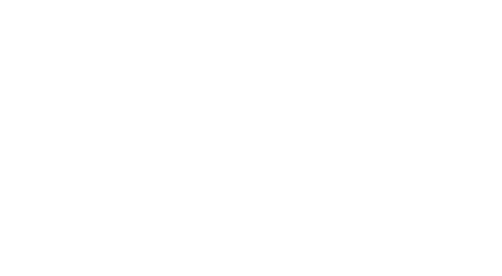 SBI — Stellenbosch Business Institute. Beyond a business school